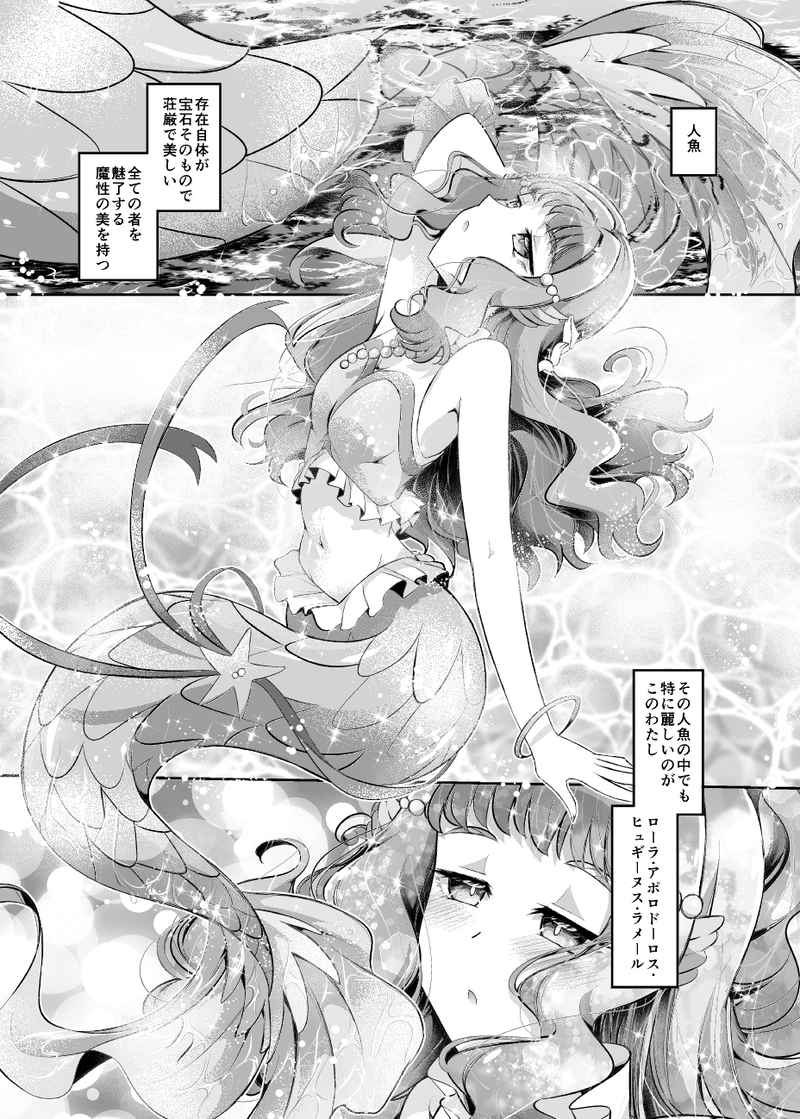Doujinshi Pretty Cure (B5 66pages) Lost Voice Laura fanbook