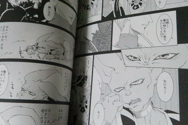 Dragon Ball Doujinshi Beerus uke anthology (A5 106pages) 53M RAKU etc.