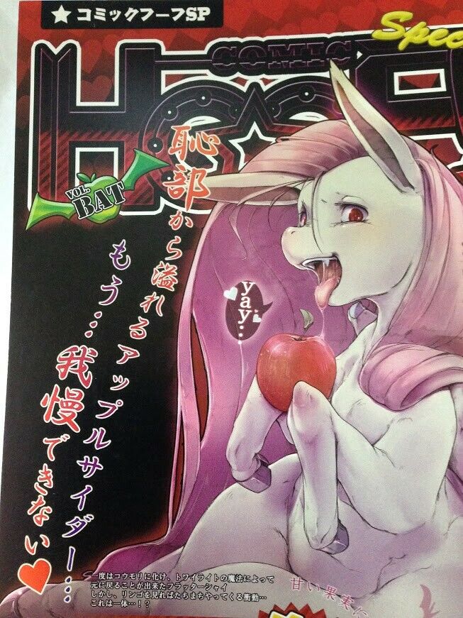 Doujinshi My little pony (B5 16pages full color ) HOOF Special MLP furry Kolgha