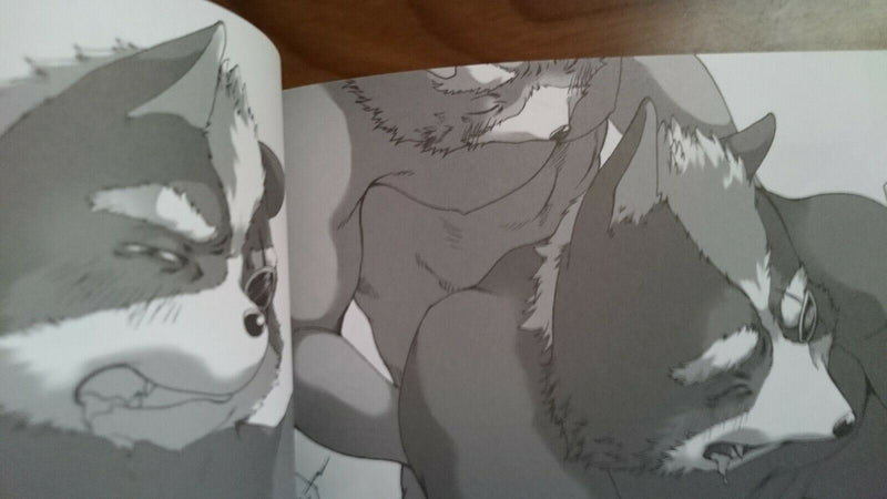 Doujinshi Mario Bowser , Star Fox Wolf (B5 22pages) furry kemono mairu picopico