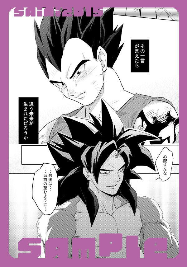 Dragon Ball Doujinshi Goku X Vegeta (B5 60pages) herumon Sairoku 2015 Saiai