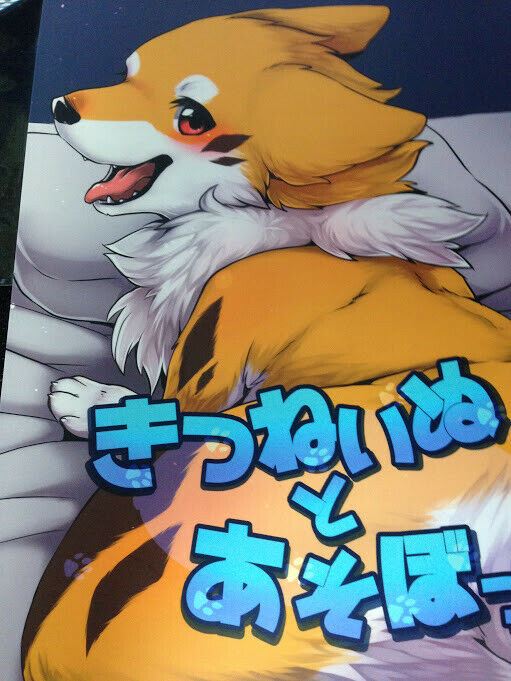 Furry Doujinshi (B5 12pages) D-Point Kitsuneinu to asobo Fox kitsune kemono