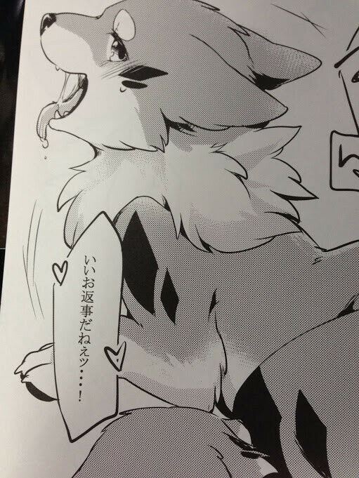 Furry Doujinshi (B5 12pages) D-Point Kitsuneinu to asobo Fox kitsune kemono