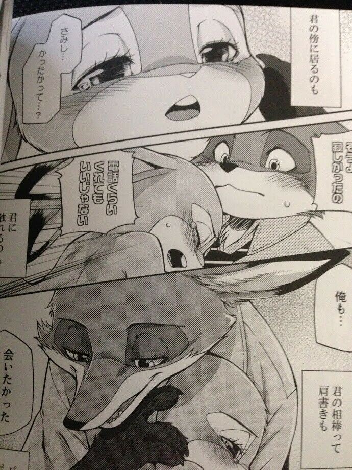 Zootopia Doujinshi Nick X Judy (A5 240pages) be Loved Dogear Kemono Furry