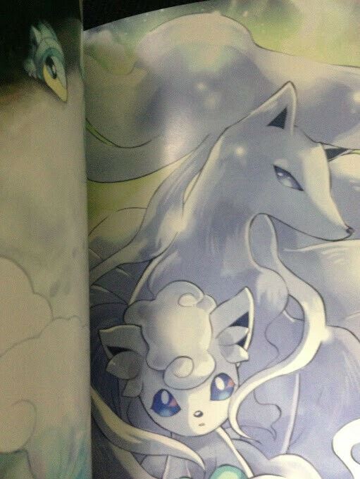 Doujinshi POKEMON (A5 All color 28pages) Vulpix, Ninetales main SNOW FLAKE furry