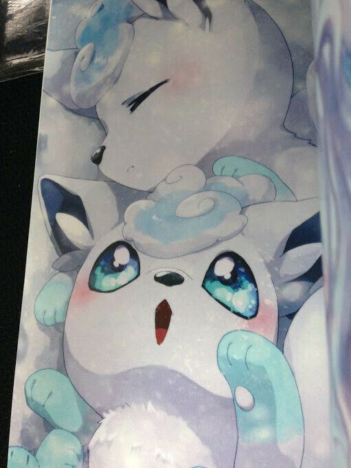 Doujinshi POKEMON (A5 All color 28pages) Vulpix, Ninetales main SNOW FLAKE furry