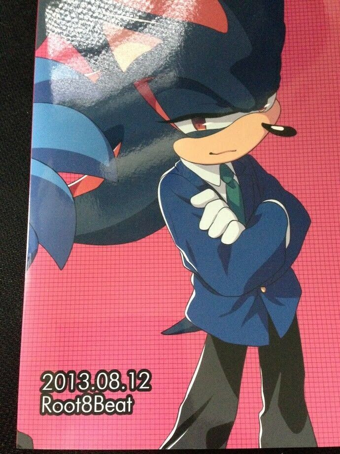Doujinshi Sonic The Hedgehog (B5 56pages) Sonic X Shadow trail mix