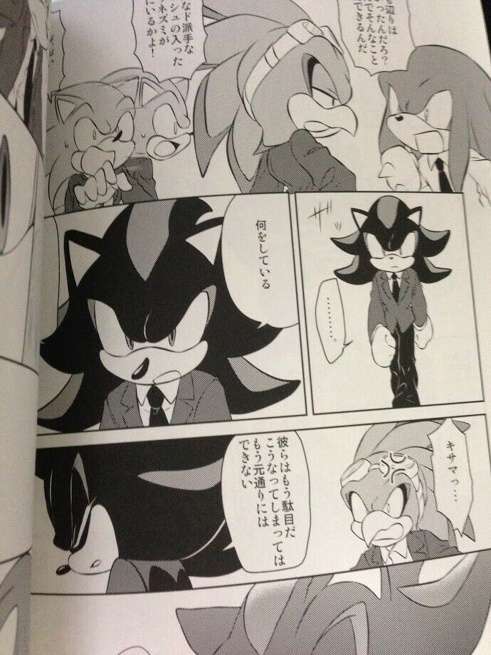 Sonic the Hedgehog Doujinshi Shadow x Sonic (A5 20pages) Kakudaikyo Haluki  ibara