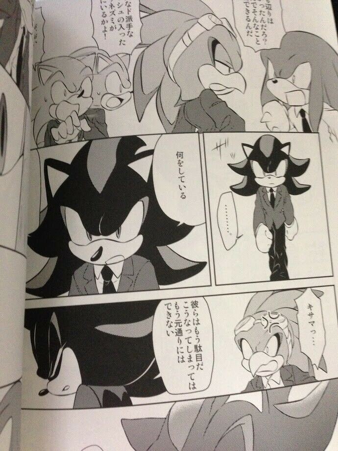 Sonic the Hedgehog Doujinshi Sonic X Shadow (B5 50pages) ROOT8Beat Onsoku furry