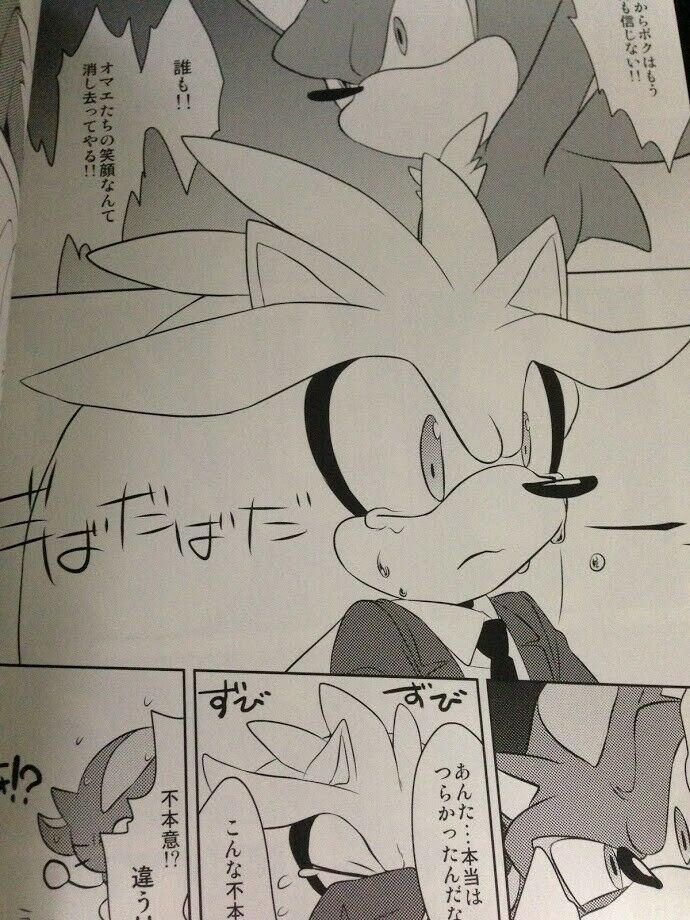 Sonic the Hedgehog Doujinshi Shadow x Sonic (A5 20pages) Kakudaikyo Haluki  ibara