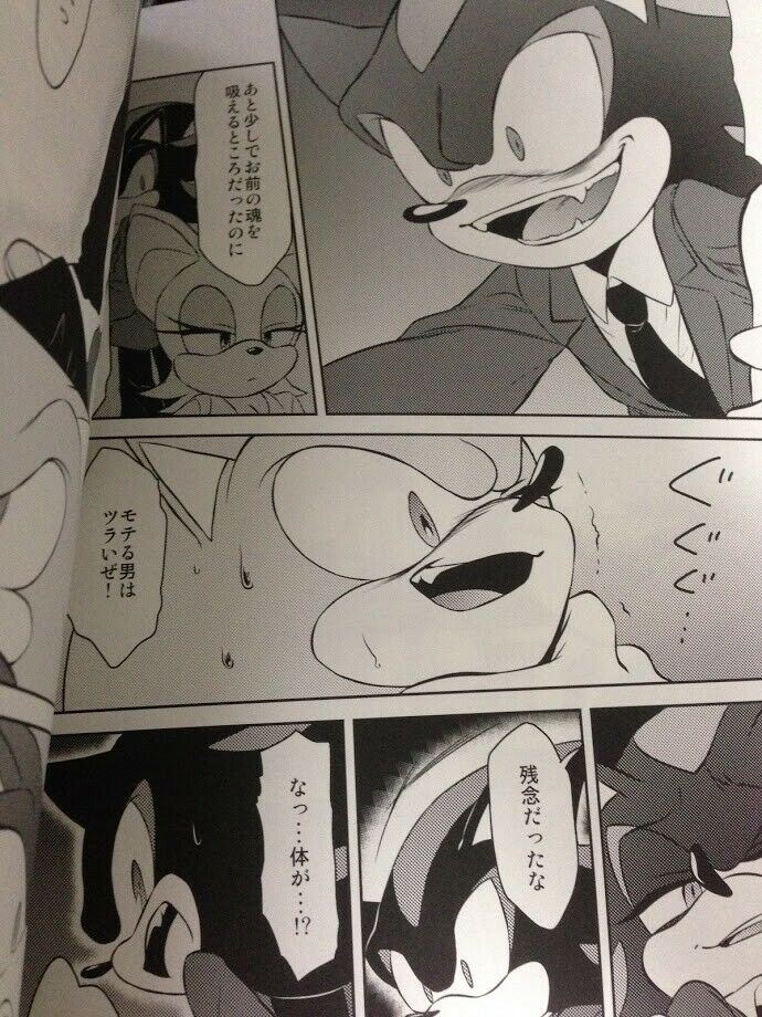 Sonic the Hedgehog Doujinshi Sonic X Shadow (B5 50pages) ROOT8Beat Onsoku furry