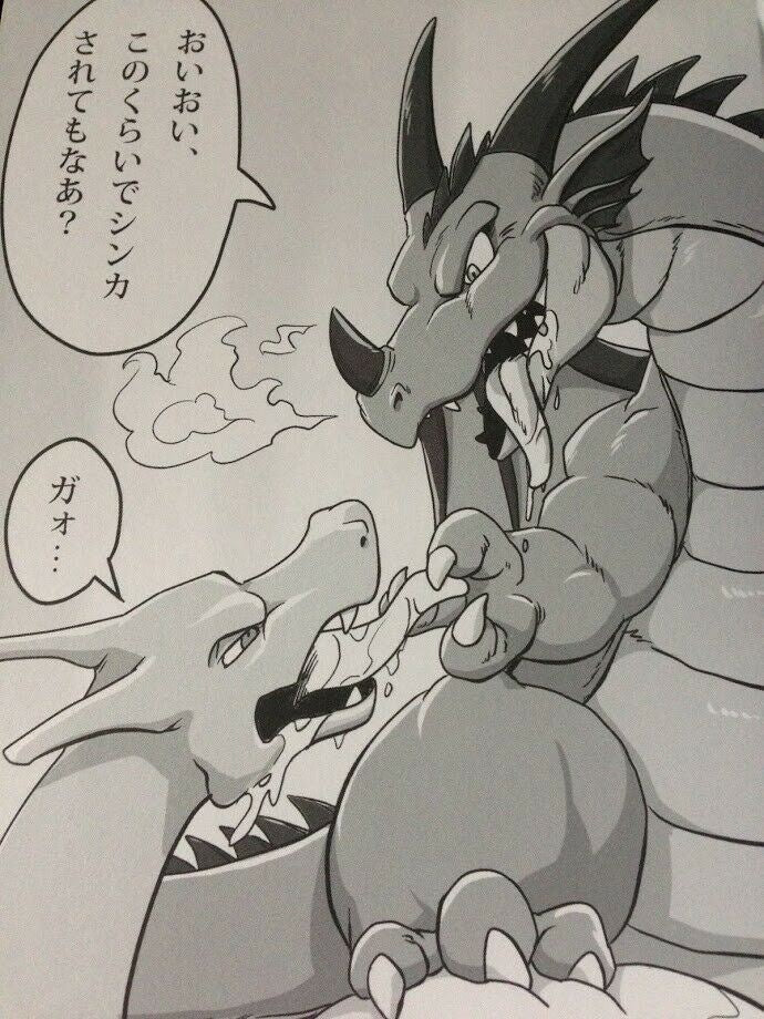 Furry doujinshi Mario Pokemon etc. (A5 54pages) Bowser Koma Pignite Klonoa MB