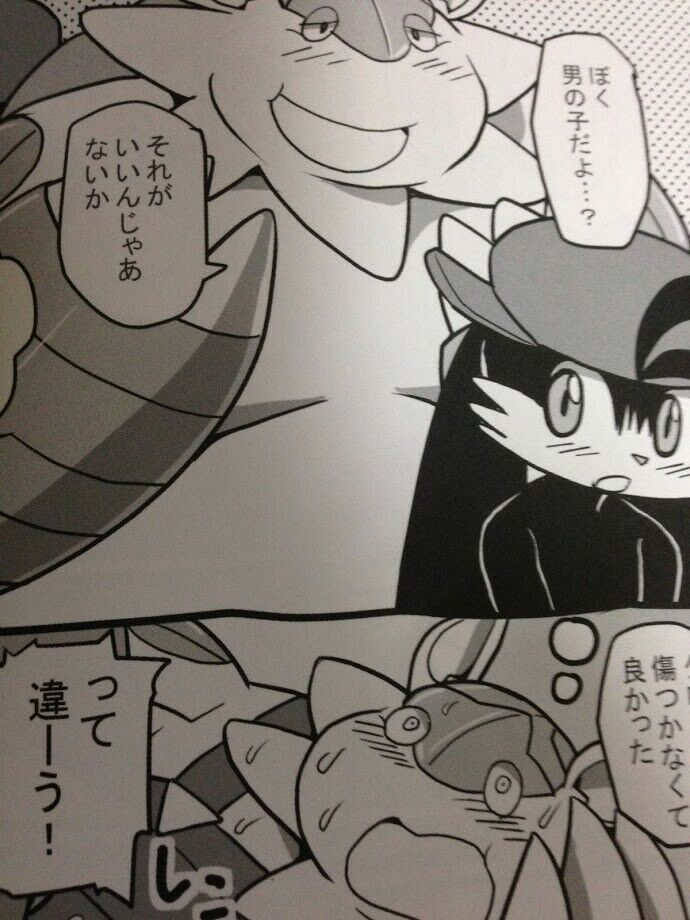 Furry doujinshi Mario Pokemon etc. (A5 54pages) Bowser Koma Pignite Klonoa MB