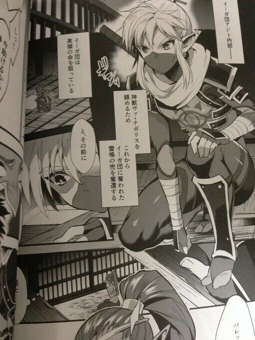 The Legend of Zelda doujinshi Iga group X Link (B5 28pages) morittokoke