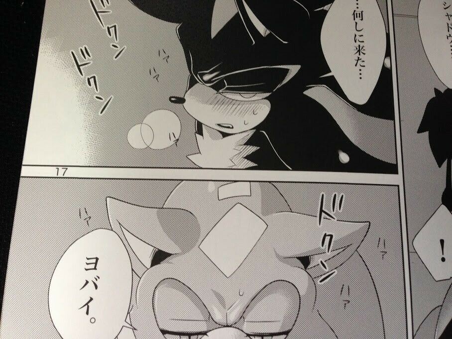 SONIC THE HEDGEHOG Doujinshi Sonic x Shadow (B5 40pages) DEEP LOVE Muy_Muy furry