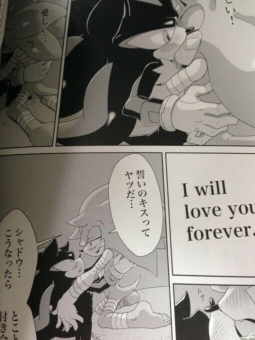 SONIC THE HEDGEHOG Doujinshi Sonic x Shadow (B5 40pages) DEEP LOVE Muy_Muy furry