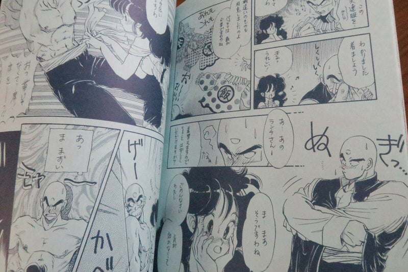 Dragon Ball Doujinshi (A5 42pages) KAME HOUSE MODERN LOVERS