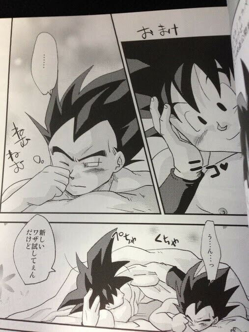 Dragon Ball Doujinshi Goku x Vegeta (B5 150pages) SAIROKU 2015-2017 sakanatoneko