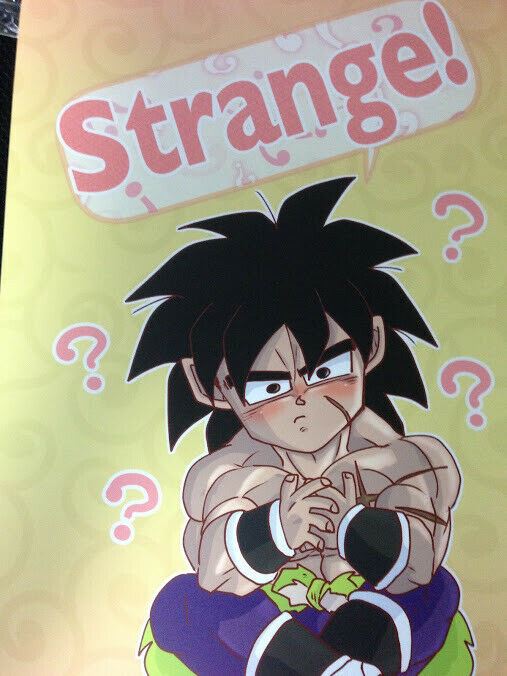 Dragon Ball Doujinshi Broly x Chirai (B5 28pages) Strange toriatama