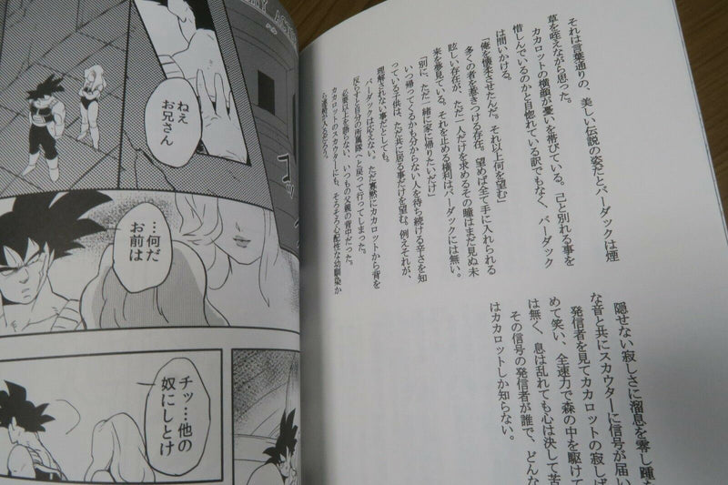 Dragon Ball Doujinshi BURDUCK X GOKU KAKAROT (A5 58pages) RISKY FLASH