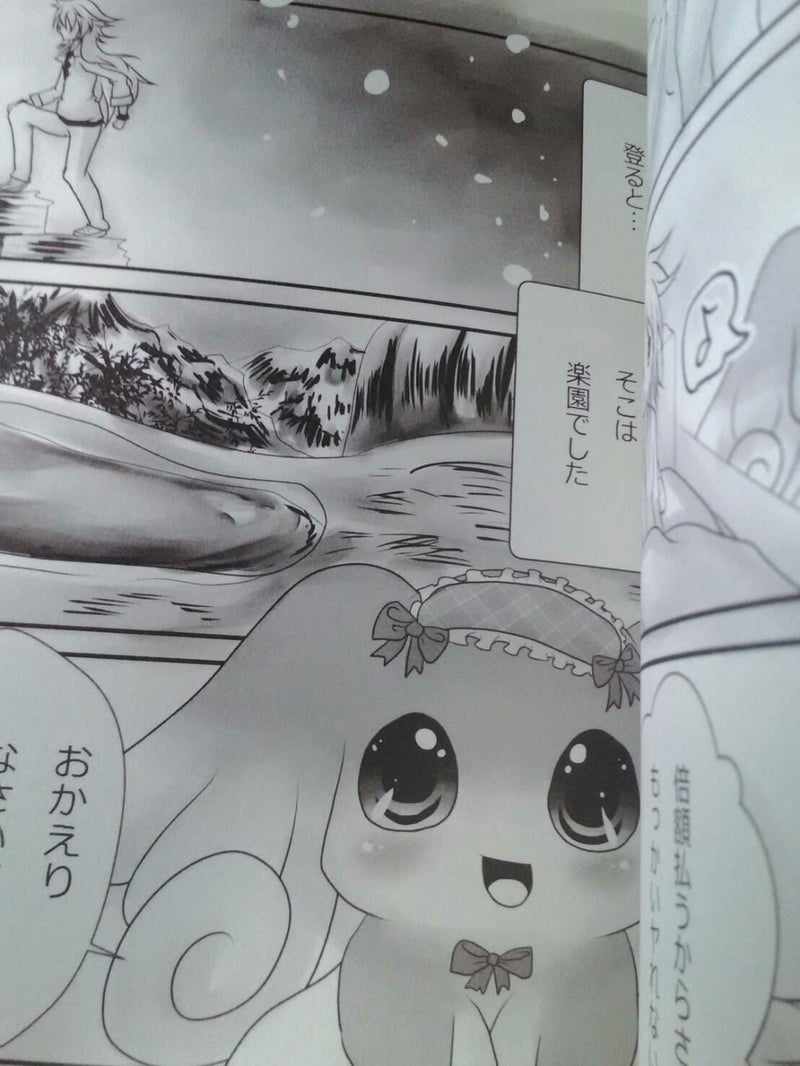 Doujinshi Pokemon Audino (A5 32pages) Belphegor #39 Iyarashi jikan furry kemono