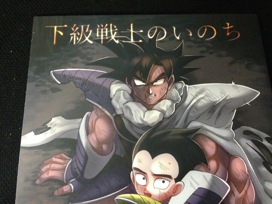 Doujinshi Dragon Ball Tulece X Raditz (B5 38pages) Kakyusenshi