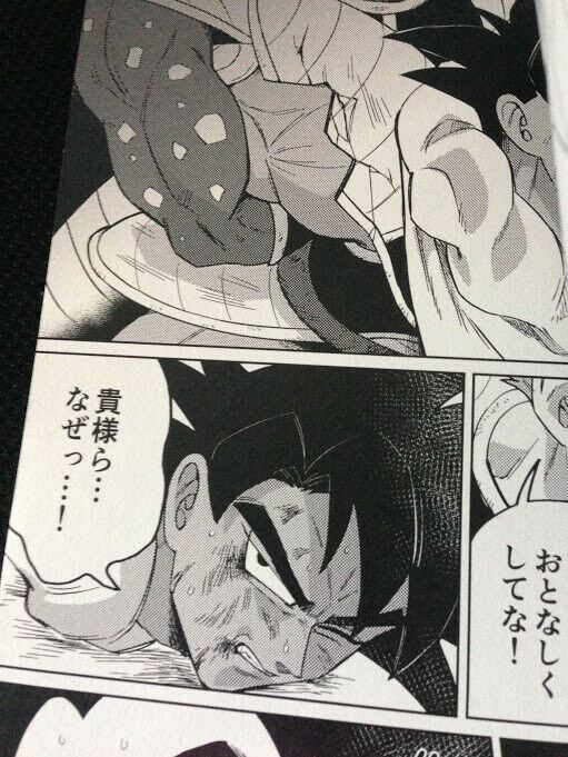 Doujinshi Dragon Ball Tulece X Raditz (B5 38pages) Kakyusenshi