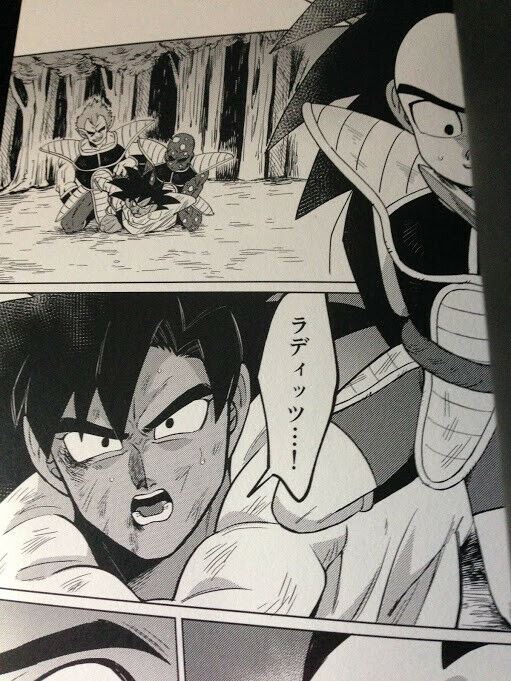 Doujinshi Dragon Ball Tulece X Raditz (B5 38pages) Kakyusenshi