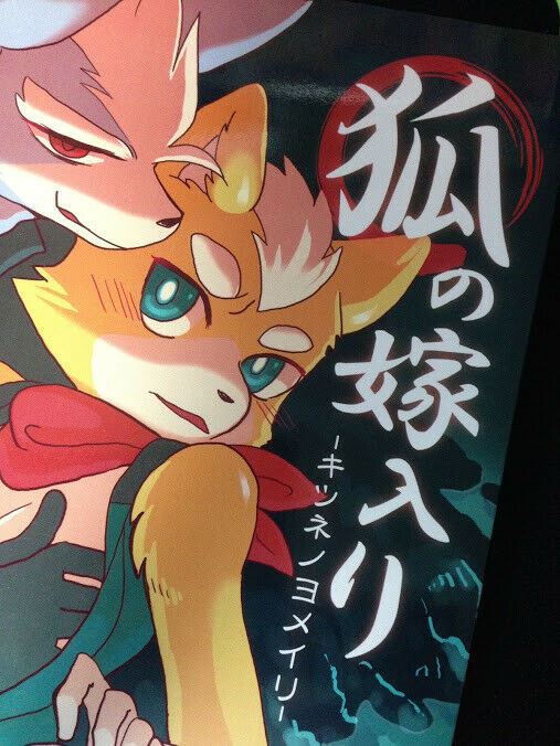 Star Fox Doujinshi Wolf X Fox (B5 48pages) kemono furry
