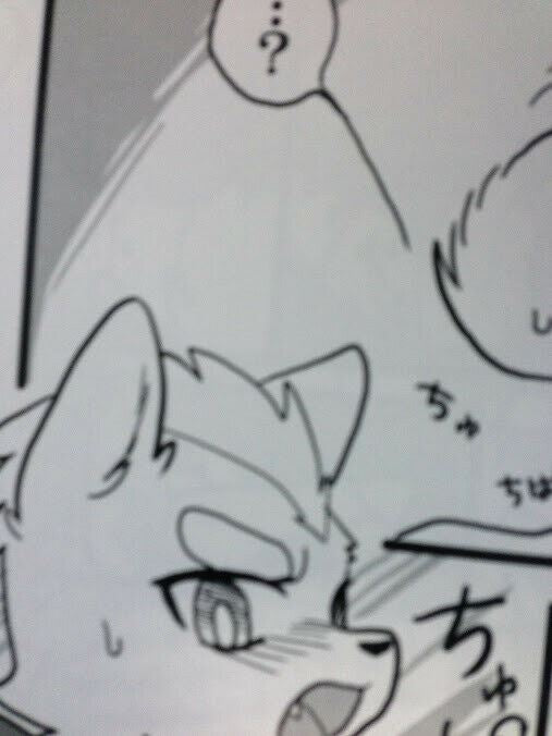 Star Fox Doujinshi Wolf X Fox (B5 48pages) kemono furry