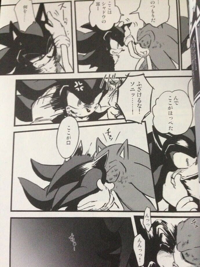 Sonic the Hedgehog Doujinshi Sonic X Shadow Anthology (A5 60pages)