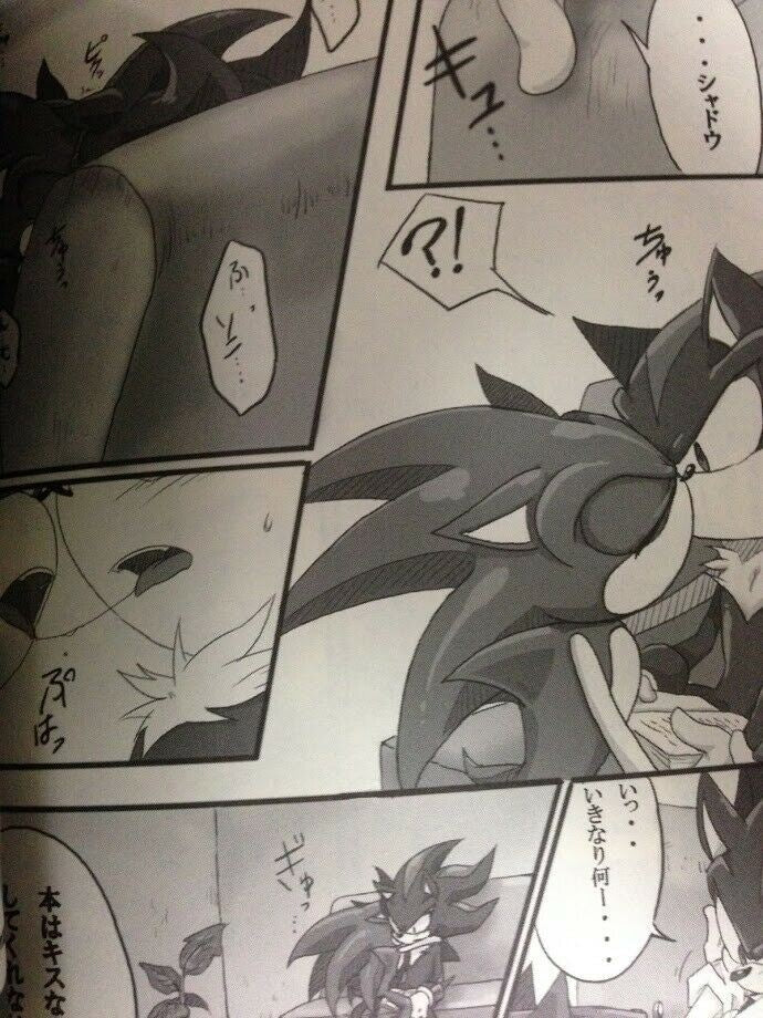 Sonic the Hedgehog Doujinshi Shadow x Sonic (A5 20pages