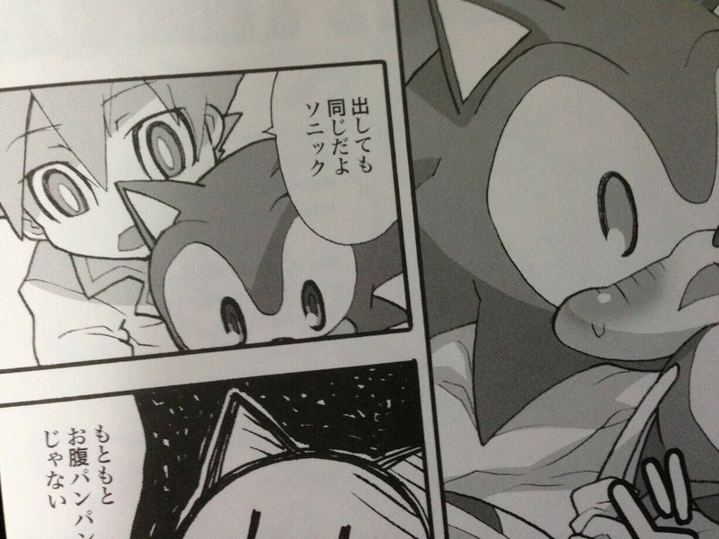 Sonic the Hedgehog and Puyo Puyo Doujinshi (B5 26pages) SEGA MEGA MIX