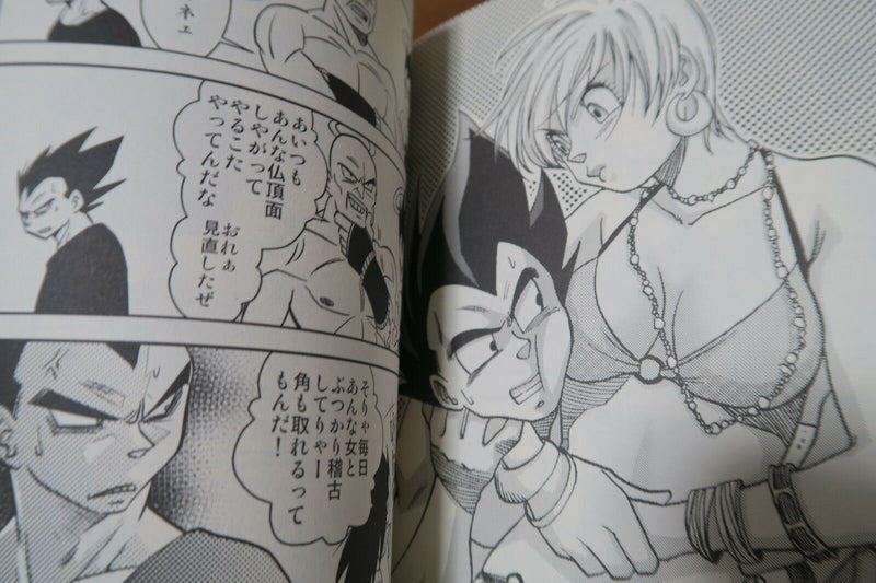 Dragon Ball Doujinshi Vegeta X Bulma (A5 50pages) awamochi tokage Sairoku side-V