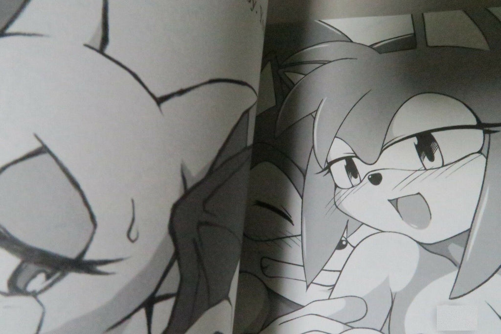 Doujinshi Sonic the Hedgehog (B5 34pages) Tojyo Ore no fuyu 2003 furry kemono