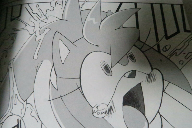 Doujinshi Sonic the Hedgehog (B5 34pages) Tojyo Ore no fuyu 2003 furry kemono