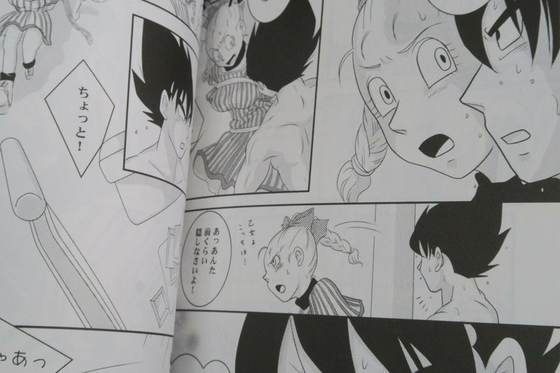 Dragon Ball Doujinshi Vegeta X Bulma anthology (A5 120pages) MOEBON BALL KAI