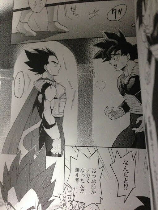 Dragon Ball Doujinshi Goku X Vegeta (B5 28pages) Into Darkness #2 Herumon runta