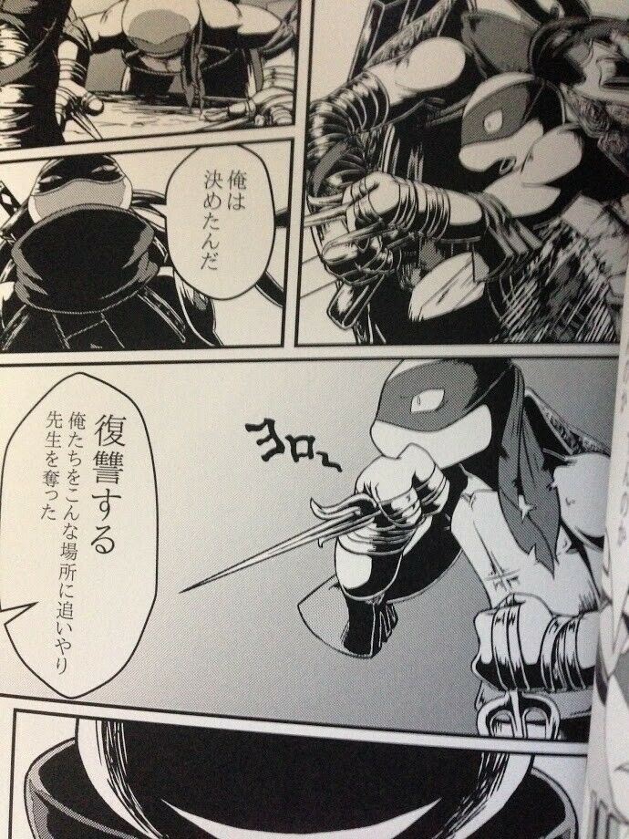 Teenage Mutant Ninja Turtles doujinshi (B5 56pages) TMNT You're HERO