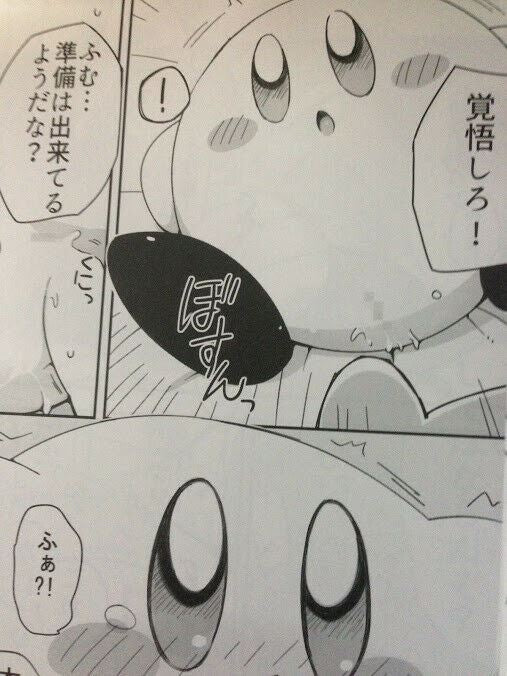 Doujinshi Kirby's Dream Land (B5 40pages) Metaknight X Kirby himitsu