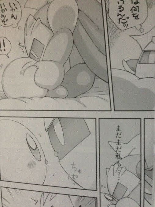 Doujinshi Kirby's Dream Land (B5 40pages) Metaknight X Kirby himitsu