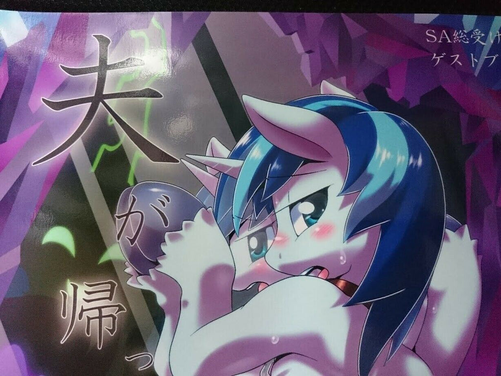 Doujinshi My little Pony (B5 28pages) MLP furry kemono otto