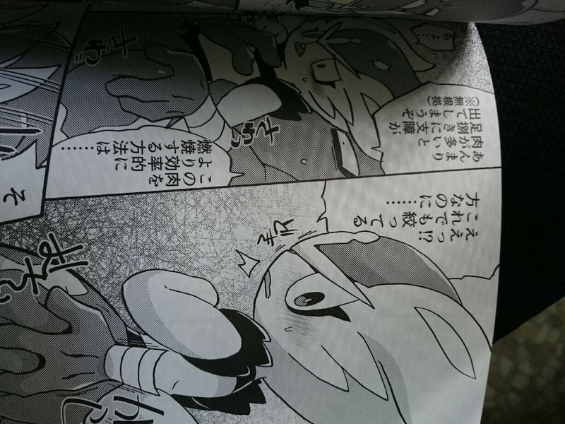 Doujinshi POKEMON Cinderace Anthology (B5 100pages) Amthana etc. furry kemono