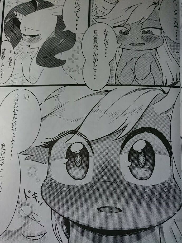 Doujinshi My little Pony Applejack & Rarity (B5 16pages) furry kemono ringo MLP