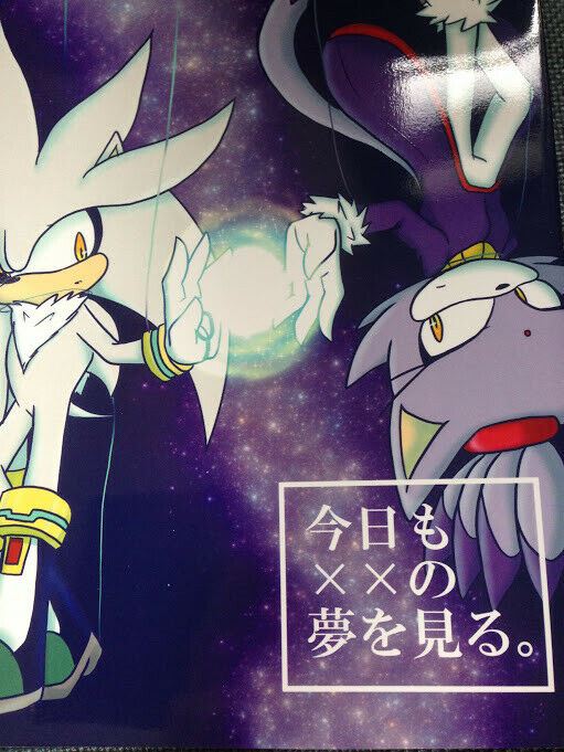 Doujinshi SONIC THE HEDGEHOG Silver X Blaze (B5 44pages) Sky High Dreams of