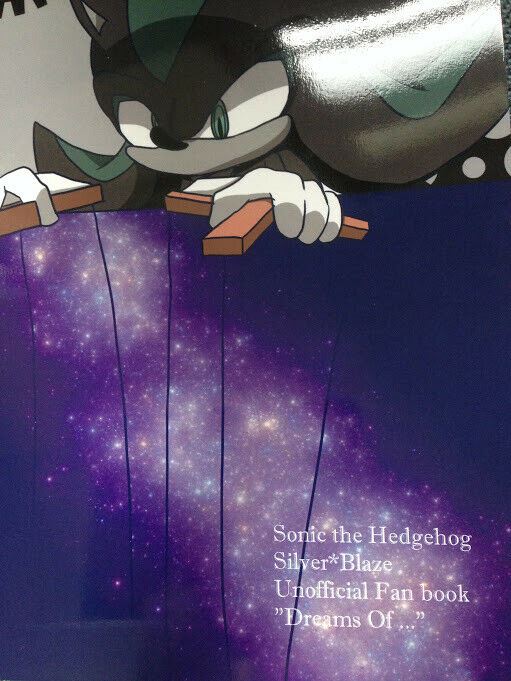 Doujinshi SONIC THE HEDGEHOG Silver X Blaze (B5 44pages) Sky High Dreams of