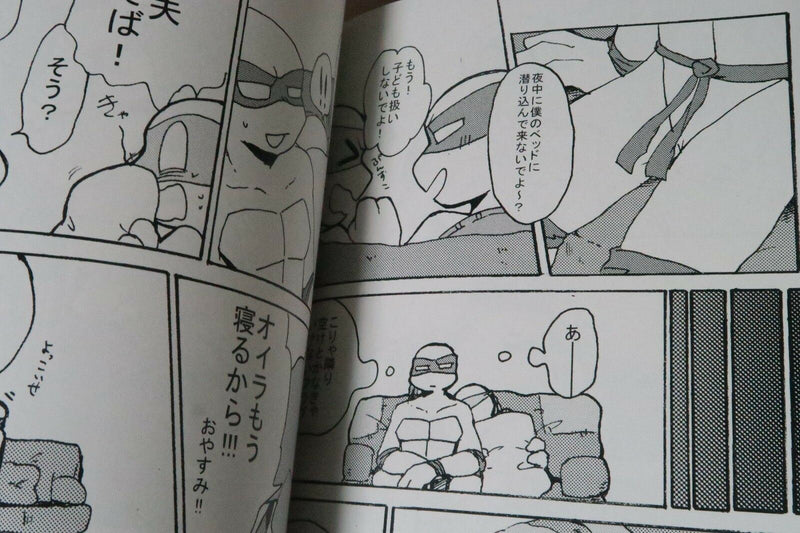 Teenage Mutant Ninja Turtles doujinshi DM (B5 20pages) saeri Maikichan ga iroiro