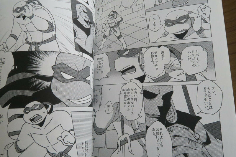 Teenage Mutant Ninja Turtles doujinshi Raphael main (A5 40pages) RED CHAMPLOO!!