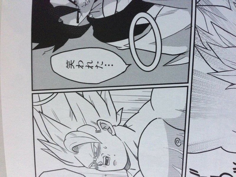 Dragon Ball Doujinshi Vegetto X Gogeta (A5 28pages) Amepan kandume tokoton