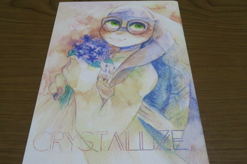 Teenage Mutant Ninja Turtles doujinshi RD (A5 32pages) Pippin CRYSTALLIZE